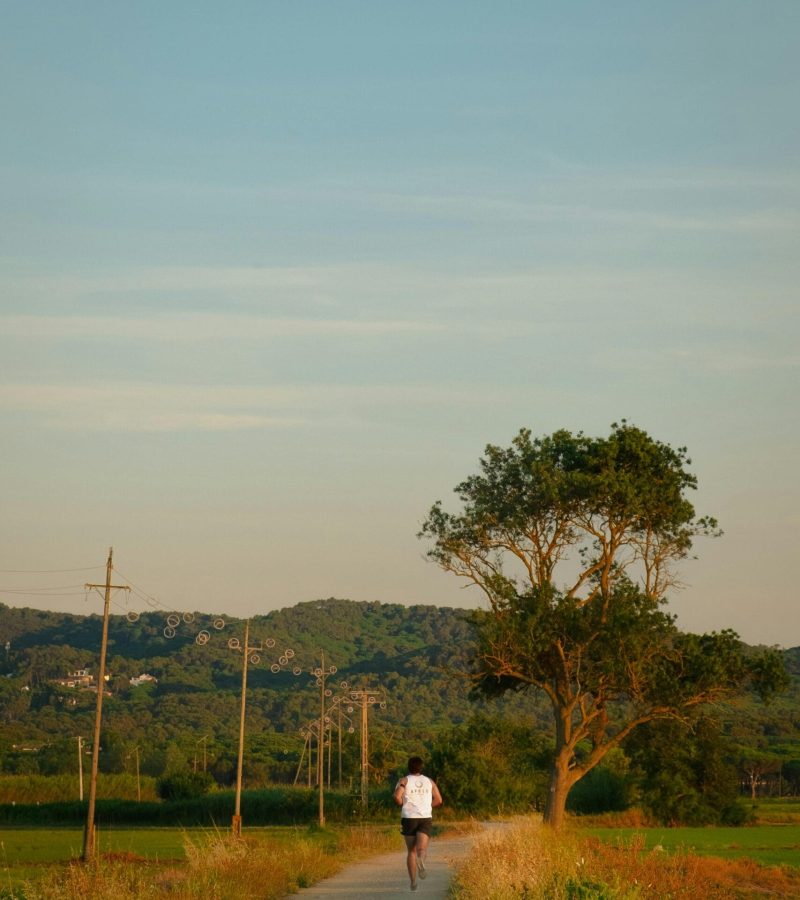 pexels-adria-masi-461420600-16980804